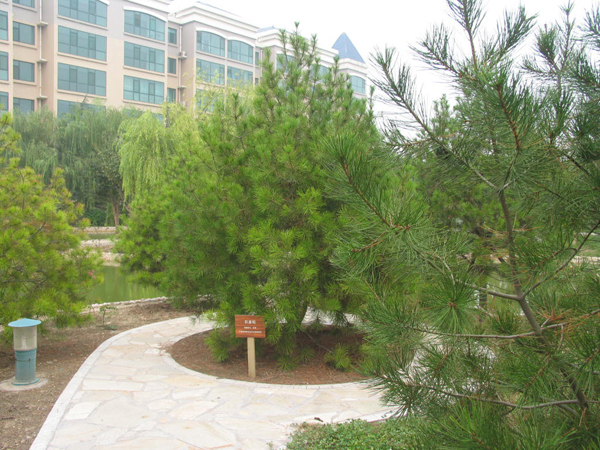 太極搪玻璃設(shè)備公司