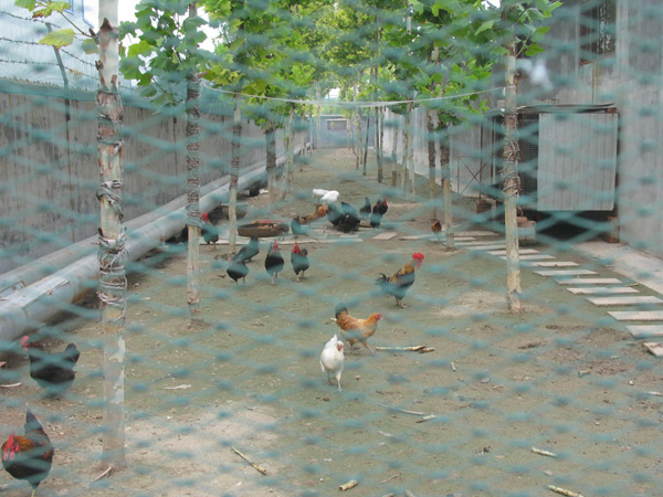 太極搪玻璃設(shè)備公司